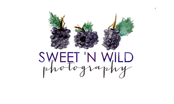 Sweet n Wild Medium PNG