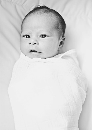 Sweet N Wild Baby Portfolio-10